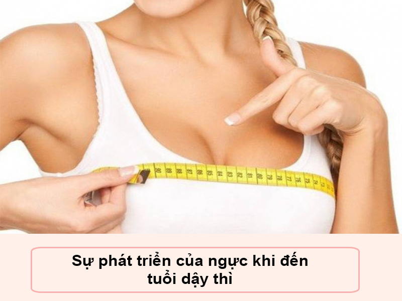 Sự phát triển củ ngực khi bước vào tuỏi dậy thì
