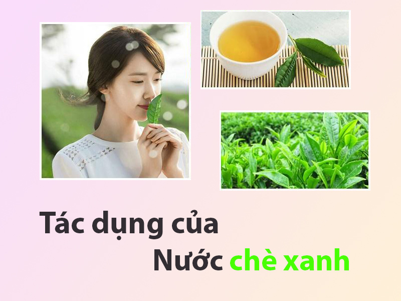 Nước chè xanh có tác dụng gì?