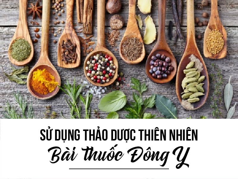 Sử dụng các loài thảo dược thiên nhiên- Bài thuốc Đông y.