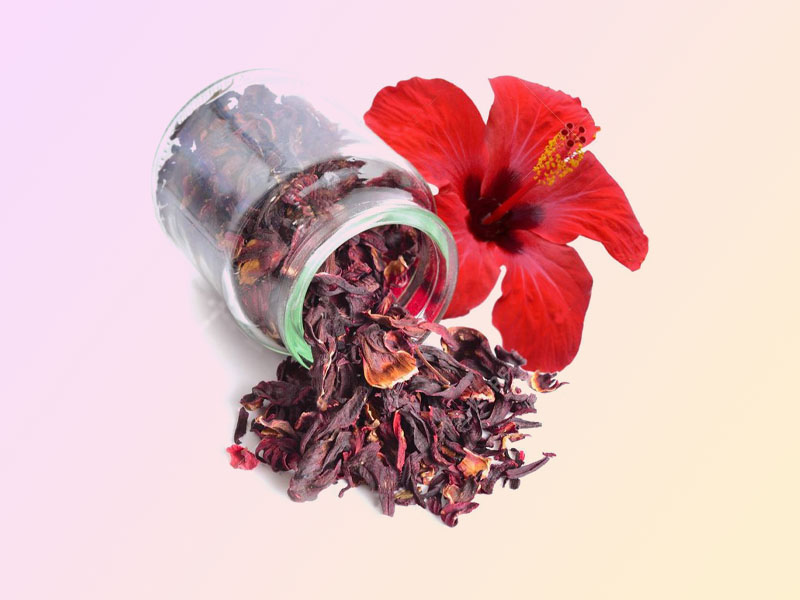 Hoa Hibiscus trong sản phẩm Foellie Inner Perfume Protect Gel