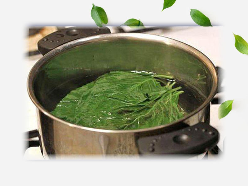 Nước lá trầu không rửa vùng kín