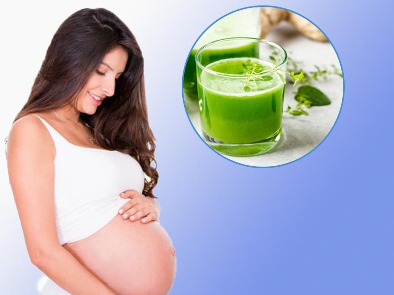 Bà bầu có thể xông âm đạo bằng nước rau diếp cá