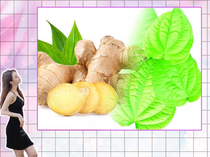 Bài thuốc từ lá trầu không và gừng trị huyết trắng