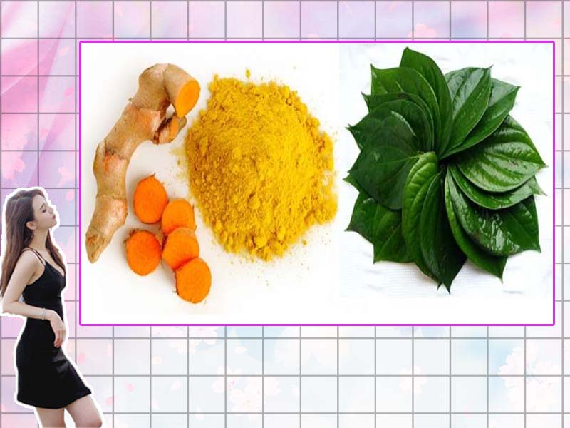 Nghệ và lá trầu không giảm thiểu huyết trắng