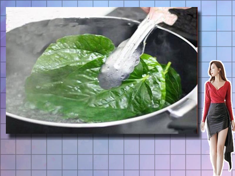 Sắc lá lốt với nước sôi