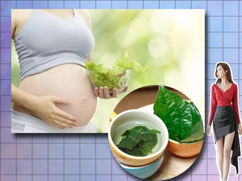Phụ nữ có thai có thể rửa âm đạo bằng nước lá lốt