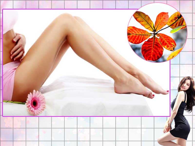Rửa âm đạo bằng nước lá bàng