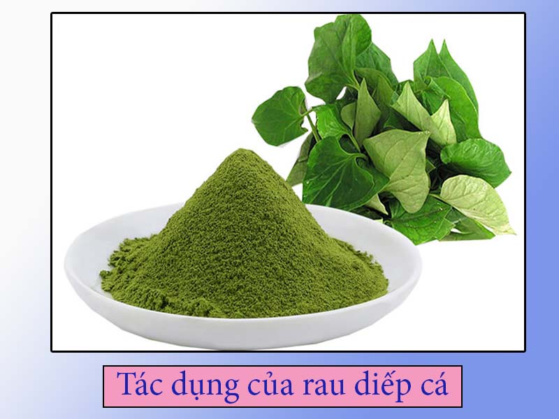 Tác dụng của rau diếp cá