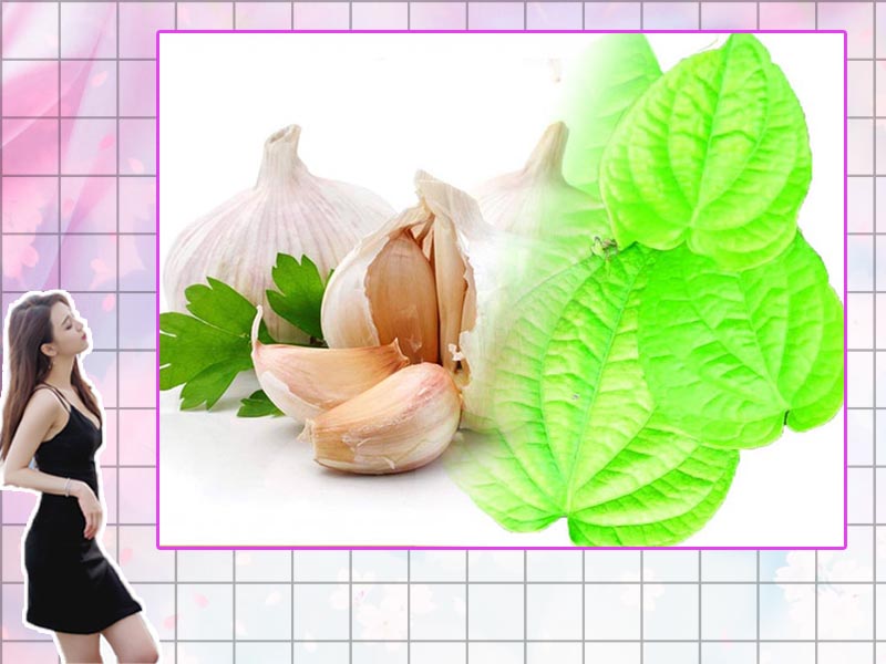 Dứt điểm huyết trắng bằng lá trầu không và tỏi