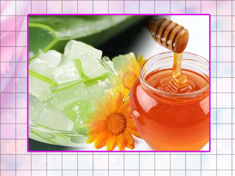 Điều trị huyết trắng bằng nha đam nấu mật ong