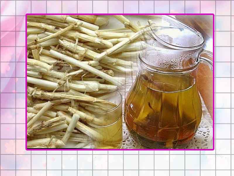 Uống nước rễ cỏ tranh điều trị huyết trắng