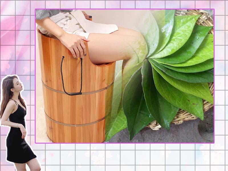 Xông hơi lá trầu không trị huyết trắng