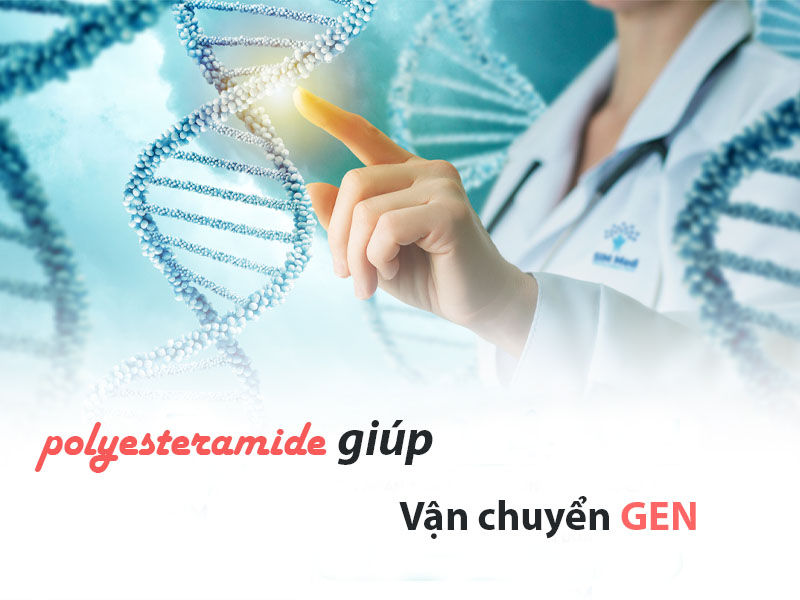 Polyesteramide liên kết với ADN từ đó giúp vận chuyển gen.