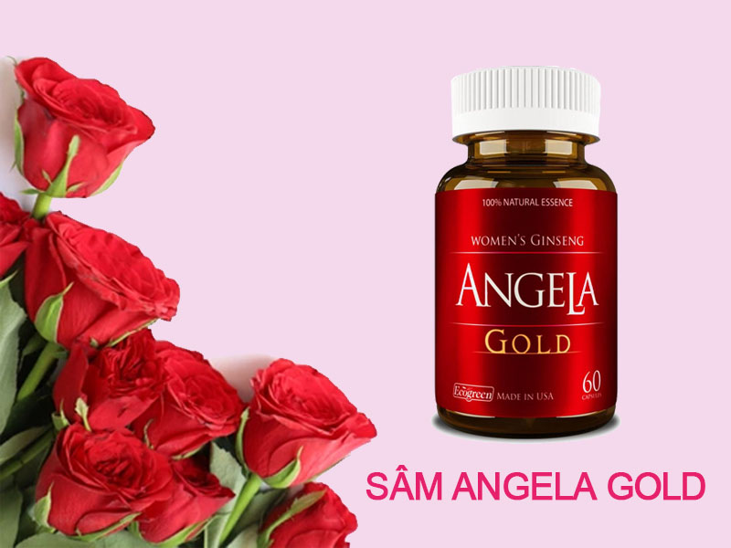 Sâm Angela Gold có tác dụng gì?