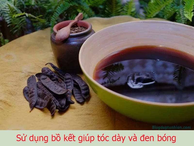 Bồ kết kích thích mọc tóc