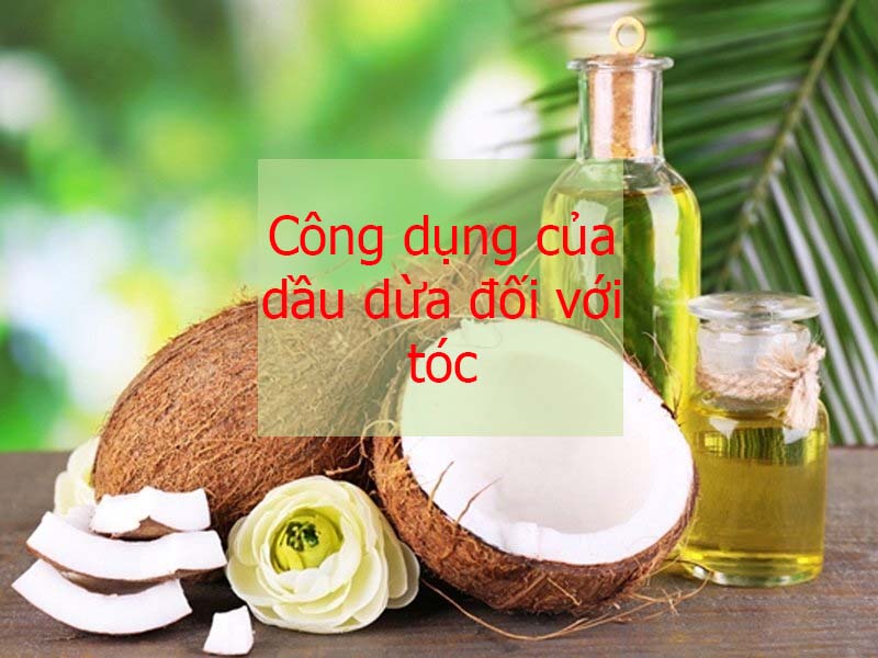 công dụng của dầu dừa