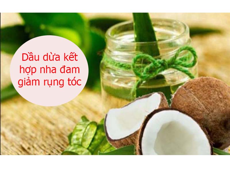 Dầu dừa kết hợp với nha đam