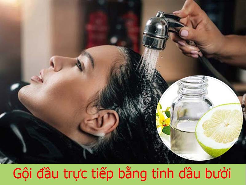 gội đầu trực tiếp bằng tinh dầu bưởi