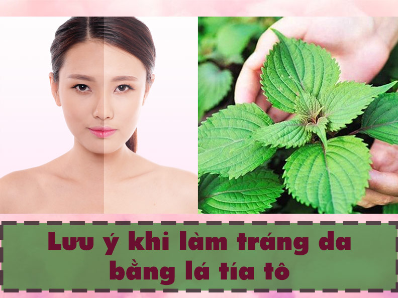 Lưu ý khi dùng lá tía tô trong làm trắng da