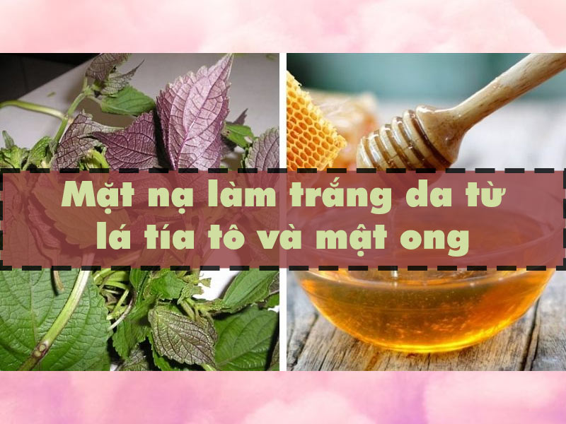 Phương pháp làm mặt nạ trắng da từ lá tía tô và mật ong