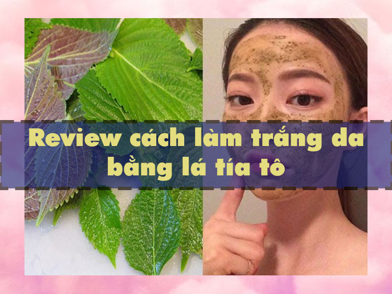 Review các làm trắng da mặt có sử dụng lá tía tô