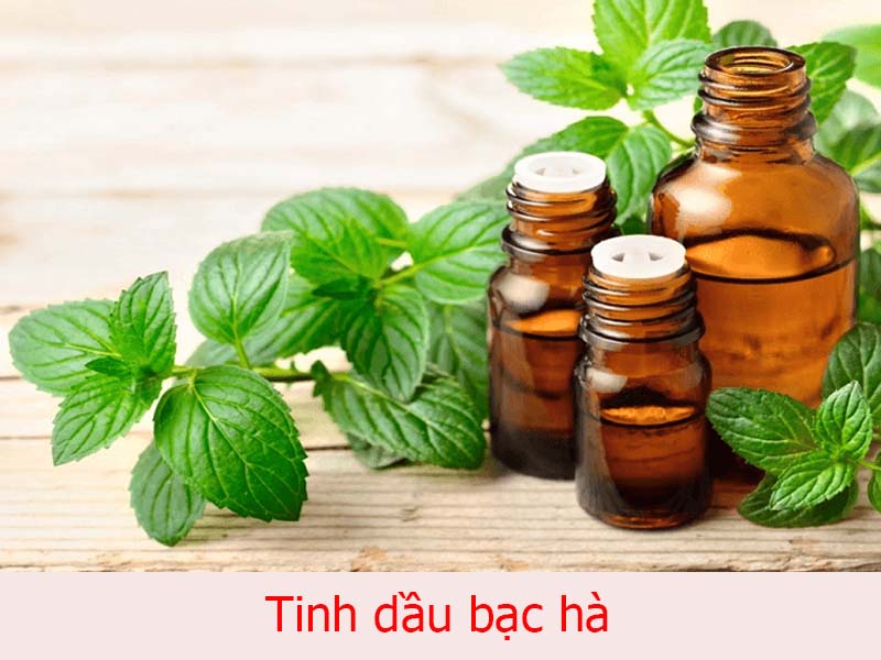 tinh dầu bạc hà