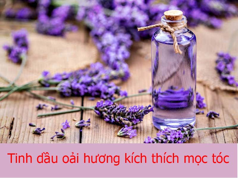 tinh dầu oải hương kích thích mọc tóc