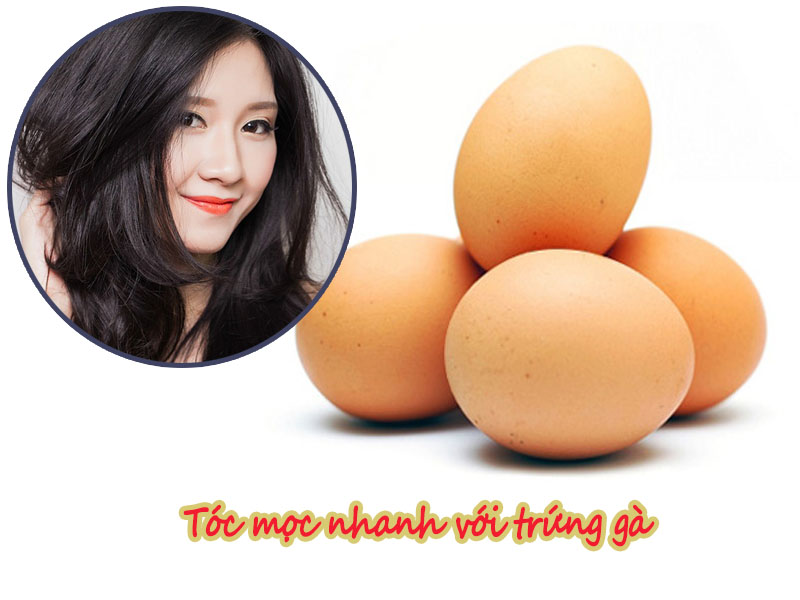 Trứng gà kích thích mọc tóc