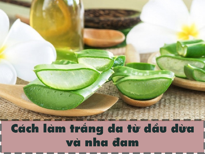 Sự kết hợp giữa dầu dừa và nha đam trong làm trắng da