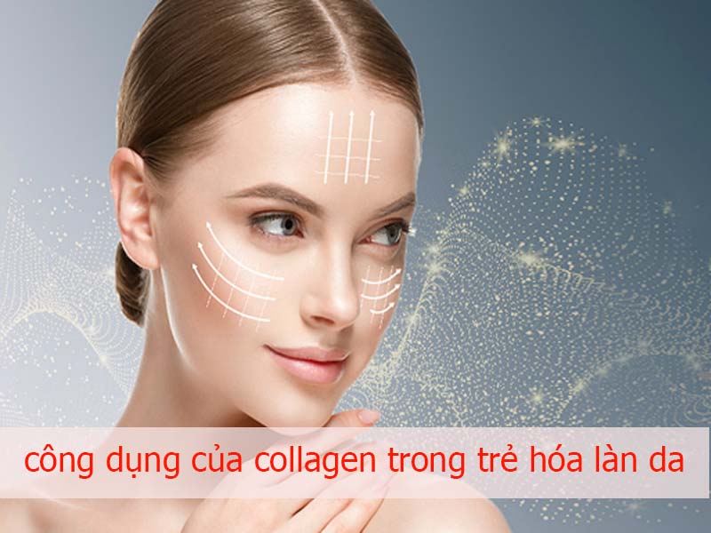 công dụng của collagen