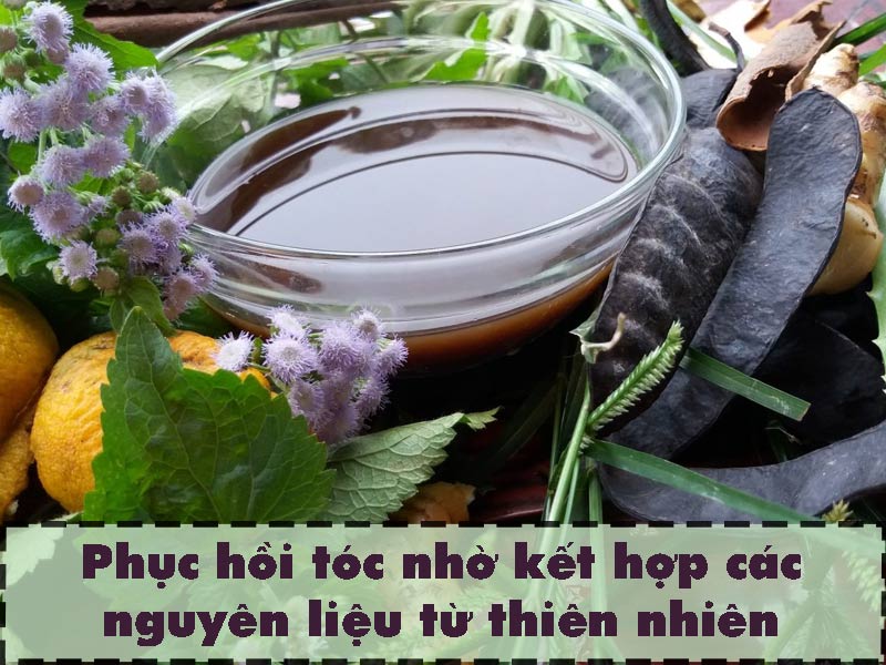Phương pháp kết hợp các nguyên liệu tự nhiên giúp phục hồi tóc hư tổn