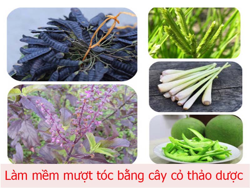 sử dụng thảo dược làm mềm mượt tóc