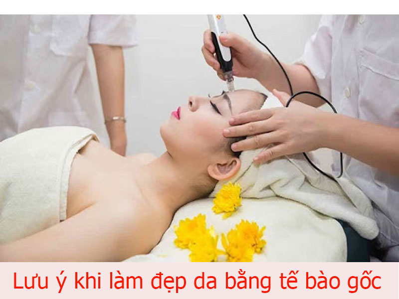 lưu ý khi làm đẹp da bằng tế bào gốc
