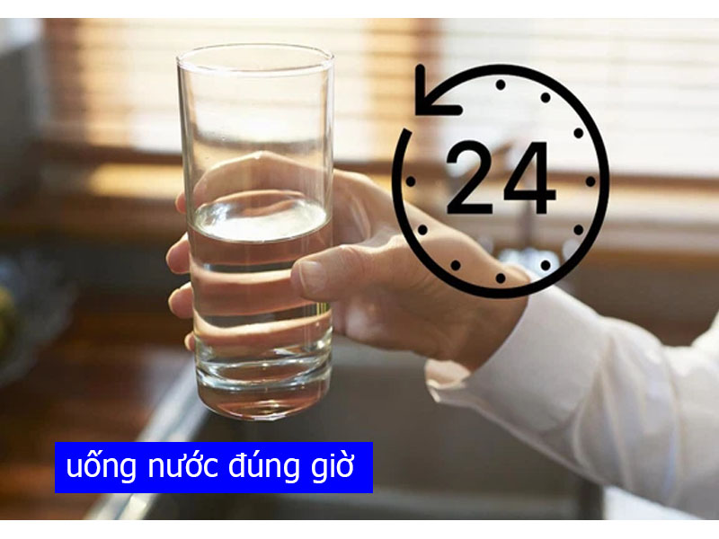 uống nước đúng giờ